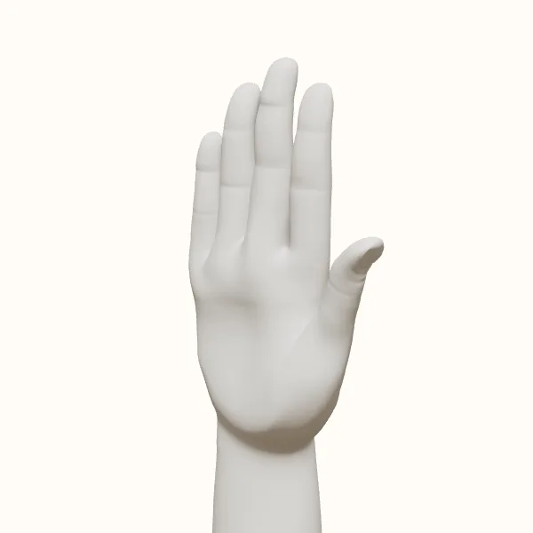 Open hand reference — female hand, three-quarter view