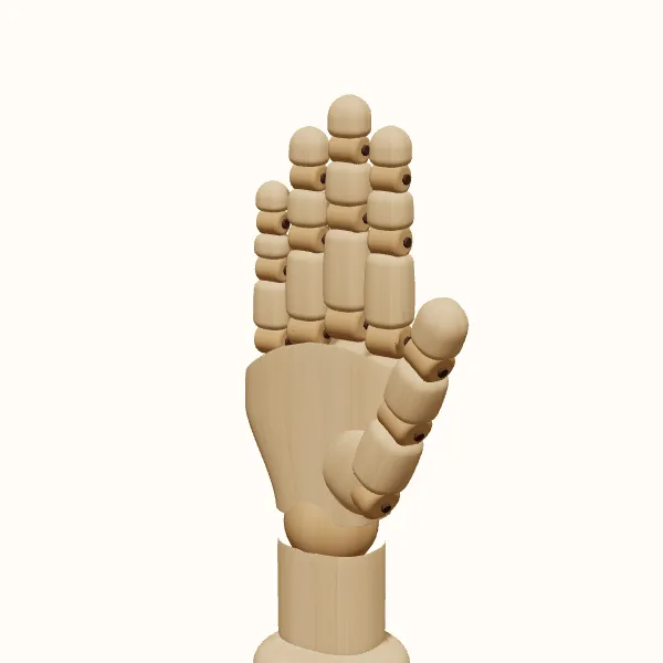 Open hand reference — wooden hand in three-quarter view