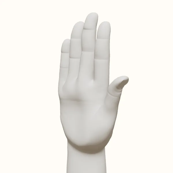 Open hand reference — male hand, three-quarter view