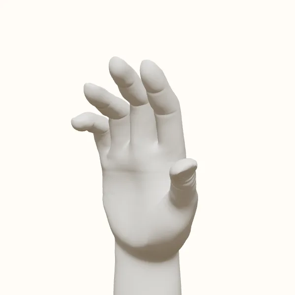 Relaxed hand reference — male hand, three-quarter view